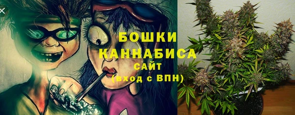 шишки Зеленодольск