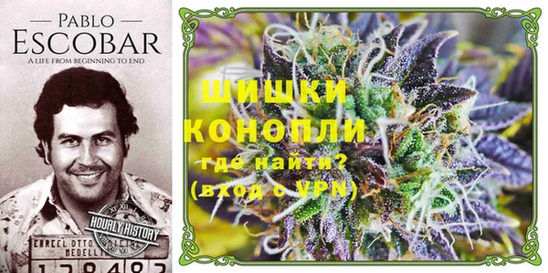 шишки Зеленодольск