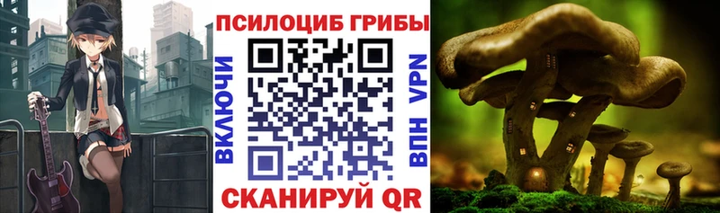 mega маркетплейс  сколько стоит  Змеиногорск  Галлюциногенные грибы MAGIC MUSHROOMS 